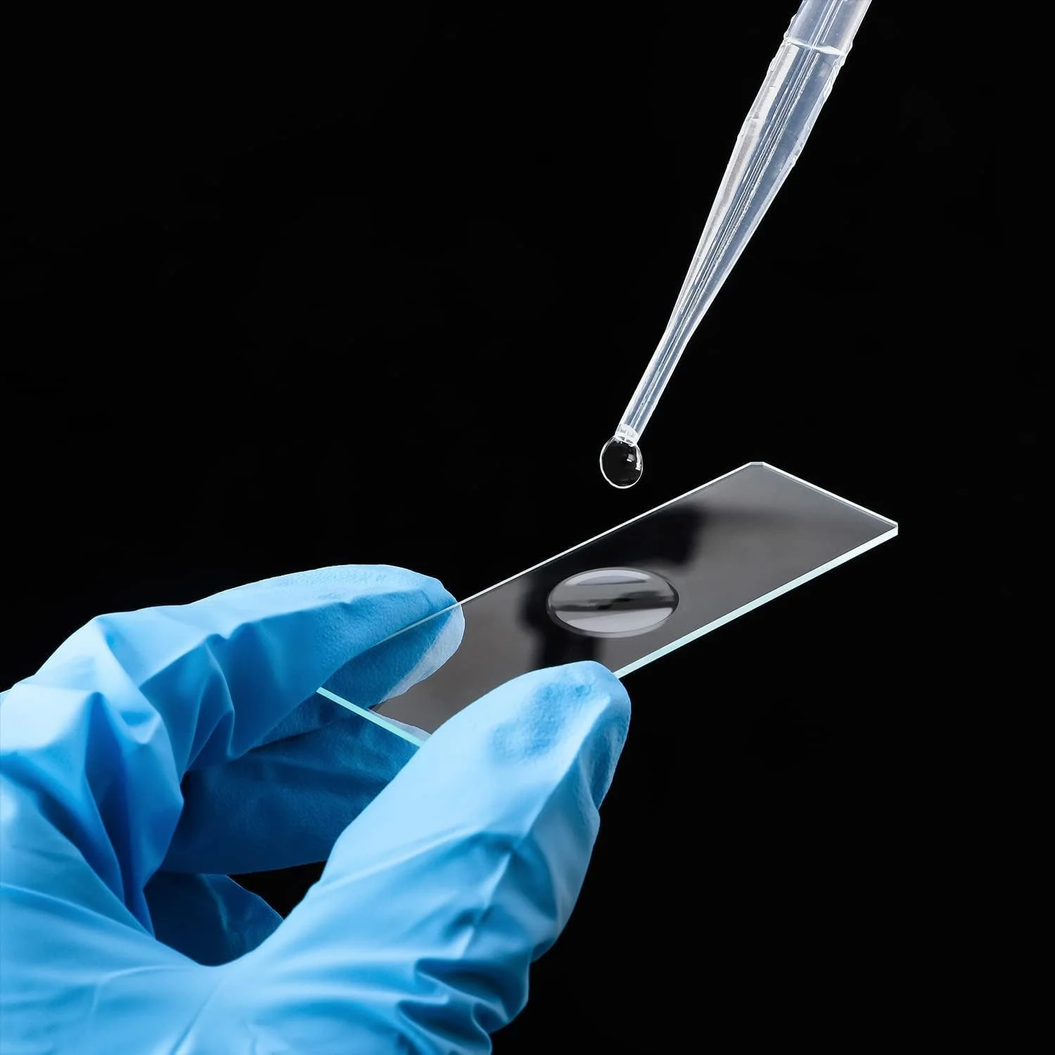 ۵۰ عدد اسلاید میکروسکوپ مقعر، اسلاید شیشه ای تک مقعر، اسلایدهای میکروسکوپ فوق شفاف برای نمونه مرطوب، اسلایدهای مقعر، لوازم جانبی میکروسکوپ برای آزمایش ها و تجزیه و تحلیل ۵۰ عدد اسلاید میکروسکوپ مقعر، اسلاید شیشه ای تک مقعر، اسلایدهای میکروسکوپ فوق شفاف برای نمونه مرطوب، اسلایدهای مقعر، لوازم جانبی میکروسکوپ برای آزمایش ها و تجزیه و تحلیل