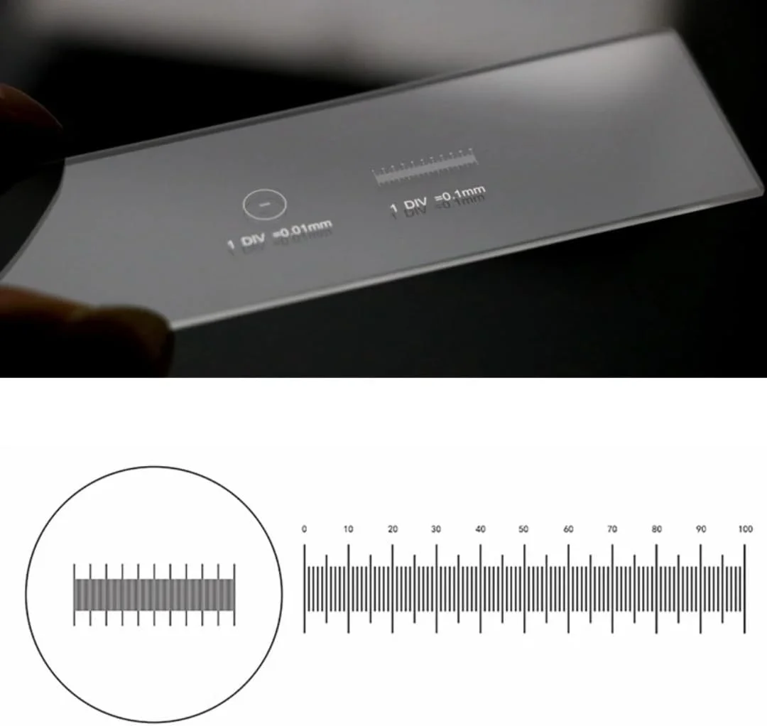 2 مقیاس با دقت 0.01 میلی متر، رتیکول میکروسکوپ، تقسیم بندی گراتیکول، کالیبراسیون میکرومتر، اسلاید کالیبراسیون لوازم جانبی میکروسکوپ 2 مقیاس با دقت 0.01 میلی متر، رتیکول میکروسکوپ، تقسیم بندی گراتیکول، کالیبراسیون میکرومتر، اسلاید کالیبراسیون لوازم جانبی میکروسکوپ