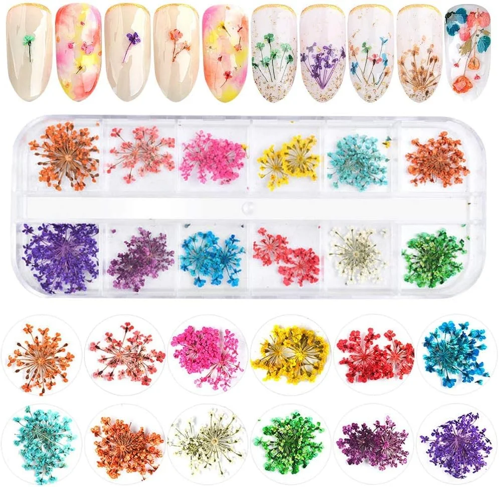 برچسب های طراحی ناخن گل خشک سه بعدی 12 رنگ Kalolary، گل های خشک رنگارنگ Gypsophila، دکوراسیون ناخن سه بعدی برای طراحی ناخن ژل UV/اکریلیک