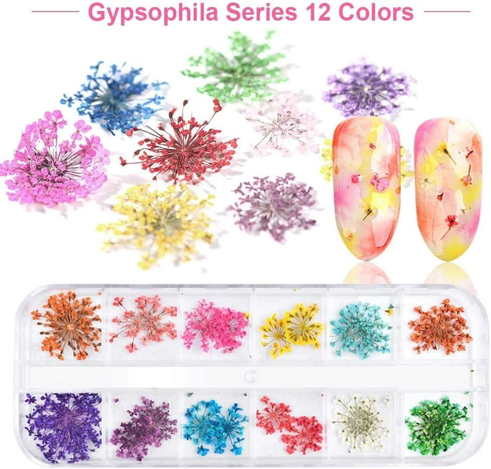 برچسب های طراحی ناخن گل خشک سه بعدی 12 رنگ Kalolary، گل های خشک رنگارنگ Gypsophila، دکوراسیون ناخن سه بعدی برای طراحی ناخن ژل UV/اکریلیک برچسب های طراحی ناخن گل خشک سه بعدی 12 رنگ Kalolary، گل های خشک رنگارنگ Gypsophila، دکوراسیون ناخن سه بعدی برای طراحی ناخن ژل UV/اکریلیک