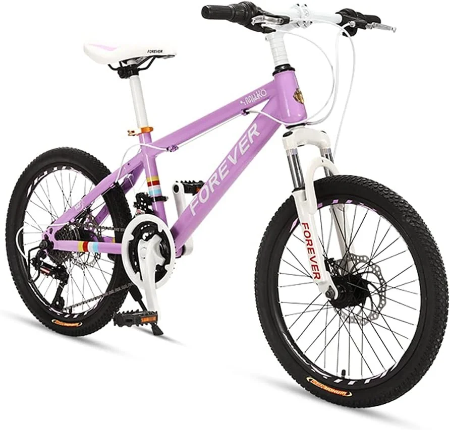 دوچرخه کوهستانی دخترانه 22 اینچی با دنده متغیر، ترمز دیسکی مکانیکی جلو و عقب مناسب رفت و آمد به مدرسه