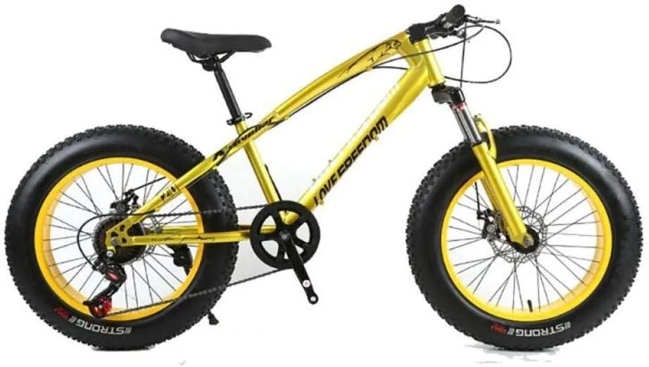 دوچرخه کوهستان تنه خشک مناسب آقایان و بانوان، دارای 7/21/24/27 دنده، لاستیک پهن 26 اینچی مناسب جاده، برف و ساحل، دارای ترمز دیسکی و دوشاخ کمک فنردار دوچرخه کوهستان تنه خشک مناسب آقایان و بانوان، دارای 7/21/24/27 دنده، لاستیک پهن 26 اینچی مناسب جاده، برف و ساحل، دارای ترمز دیسکی و دوشاخ کمک فنردار