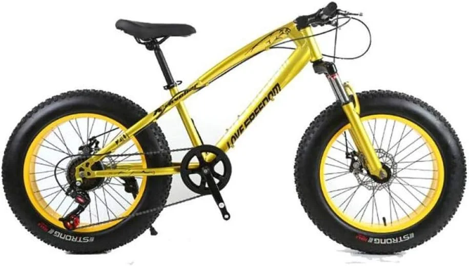 دوچرخه کوهستان تنه خشک مناسب آقایان و بانوان، دارای 7/21/24/27 دنده، لاستیک پهن 26 اینچی، مناسب جاده، برف و ساحل، دارای ترمز دیسکی و دوشاخ تعلیق دوچرخه کوهستان تنه خشک مناسب آقایان و بانوان، دارای 7/21/24/27 دنده، لاستیک پهن 26 اینچی، مناسب جاده، برف و ساحل، دارای ترمز دیسکی و دوشاخ تعلیق