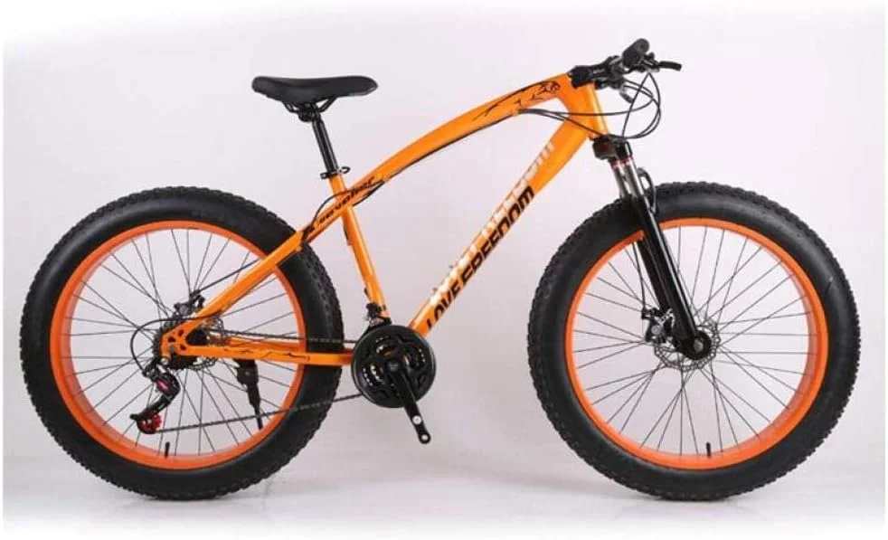 دوچرخه کوهستانی 26 اینچی آفرود ATV 24 سرعته، دوچرخه کوهستانی برفی با لاستیک بزرگ 4.0، نقره ای، نقره ای، A