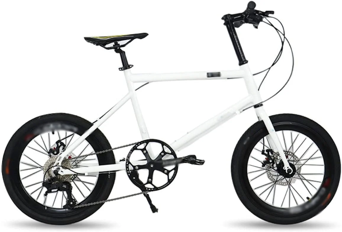 دوچرخه بریل با چرخ های 20 اینچی، 9 دنده، ترمز دیسکی هیدرولیک، بدنه فولاد کربنی، مناسب مسابقات دوچرخه سواری (سفید)