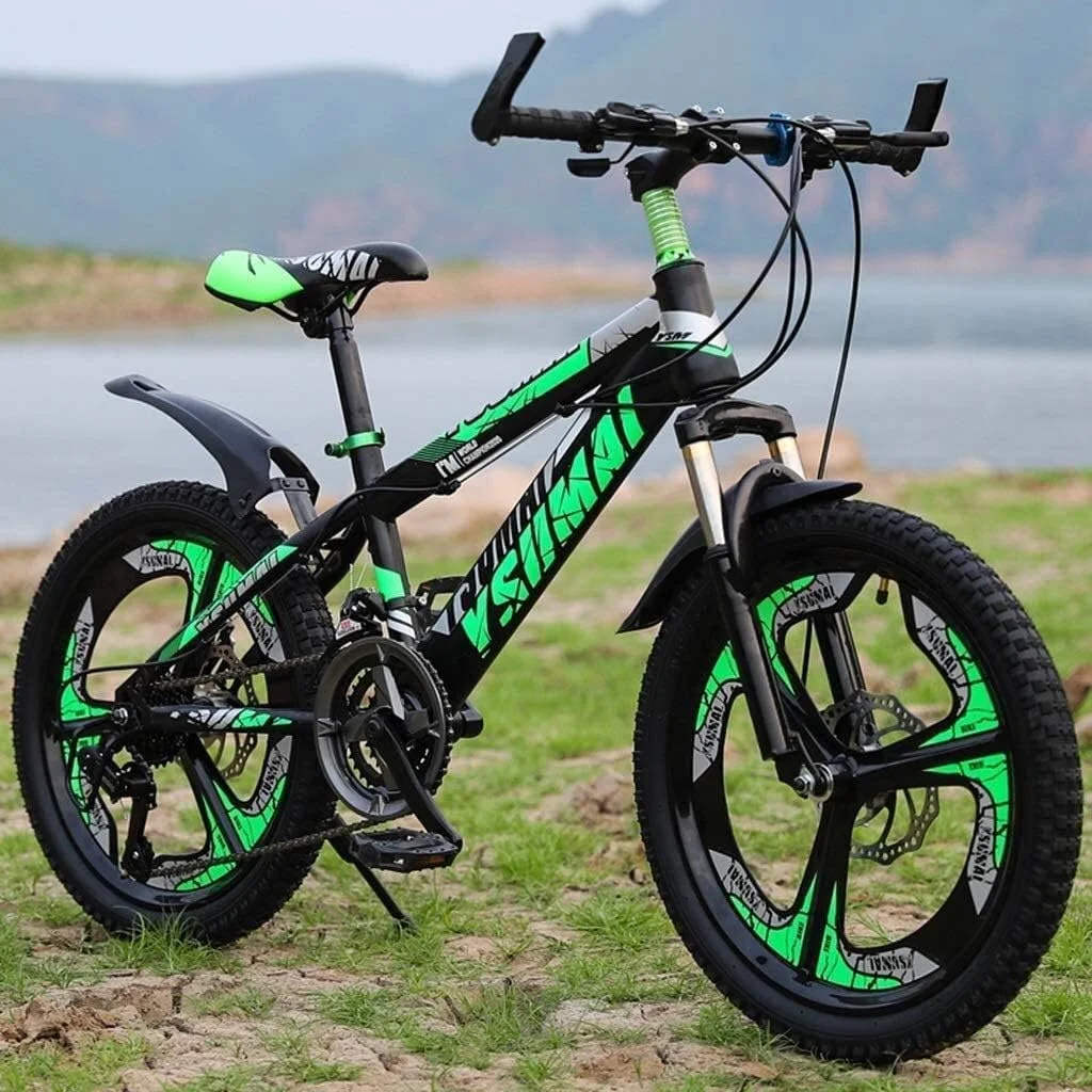 دوچرخه های دانشجویی مناسب فضای باز، دوچرخه ورزشی کودکانه، دوچرخه کوهستانی پسرانه و دخترانه، دوچرخه مسافرتی، دوچرخه جاده ای 20 اینچی (رنگ: سبز، سایز: 20 اینچ)، سبز، 20 اینچ