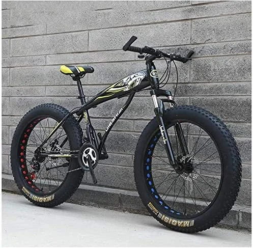 دوچرخه کوهستان دوچرخه فولادی مدل Fat Tire دو دیسک