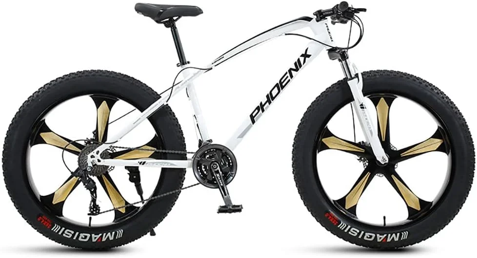 دوچرخه کوهستان مدل Fat Tire سایز 26 اینچ 21 سرعت