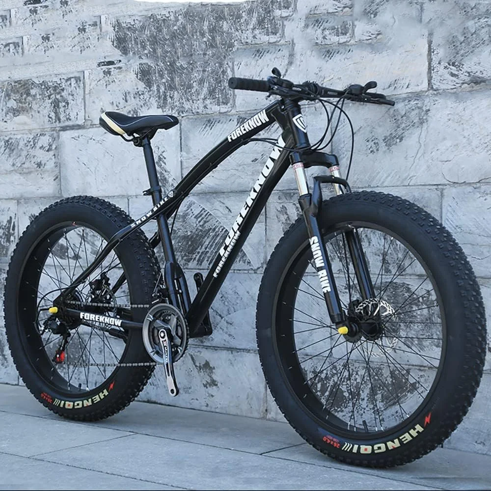 دوچرخه کوهستان مدل Fat Tire سرعت 21 سرعته سایز 26 اینچ