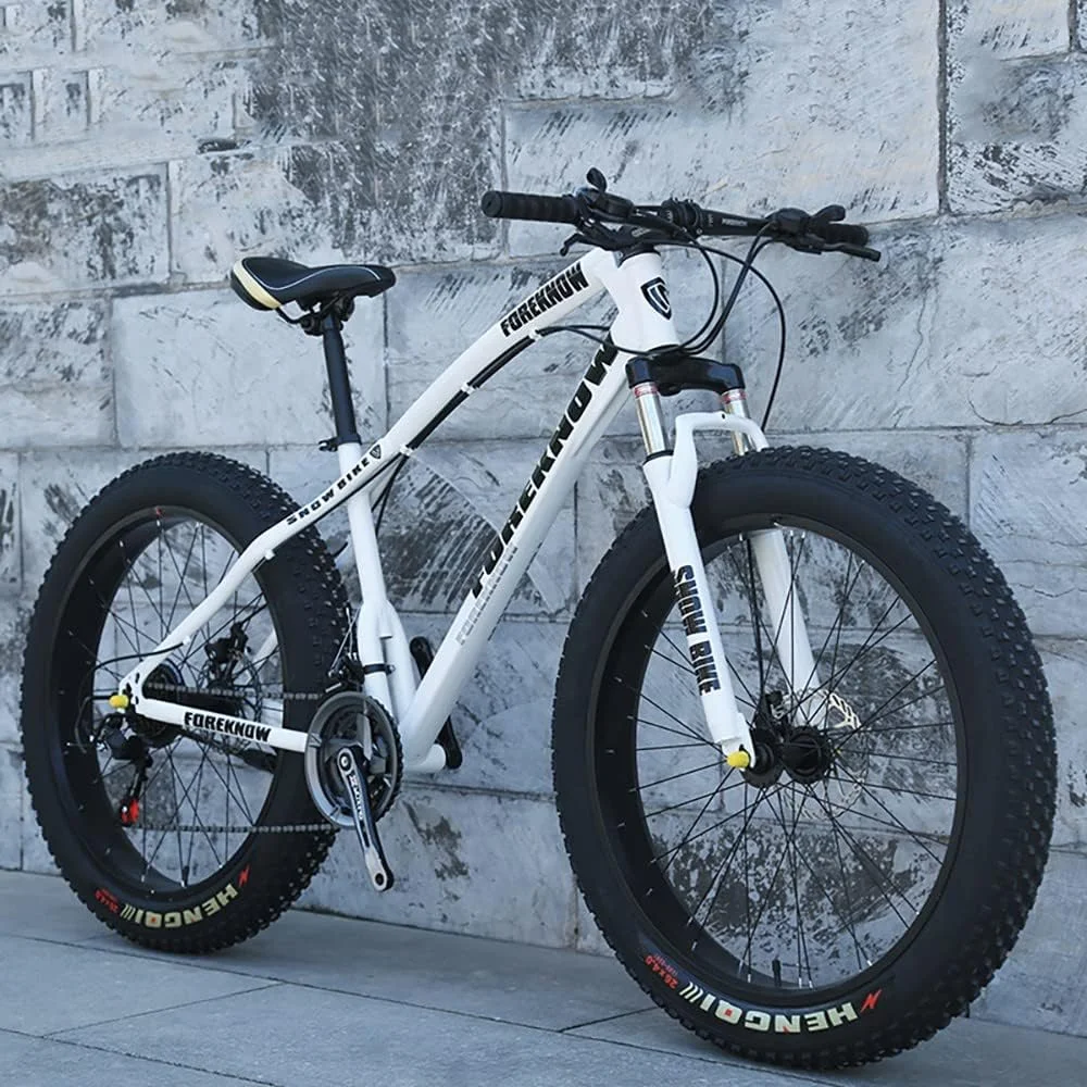 دوچرخه کوهستان مدل Fat Tire سایز 26 اینچ 21 سرعته
