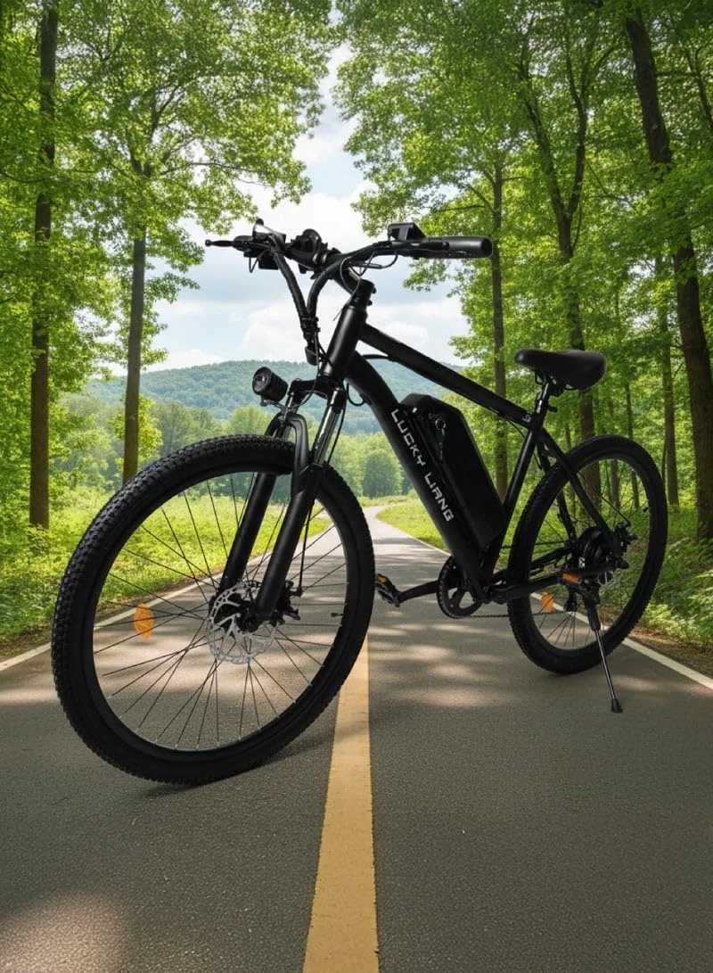 دوچرخه برقی DS01 برای بزرگسالان - موتور 500 وات (حداکثر 750 وات)، باتری 48 ولت 13 آمپر ساعت، سرعت 45 کیلومتر در ساعت، برد 45 کیلومتر، لاستیک 26 اینچی، فریم فولاد کربنی