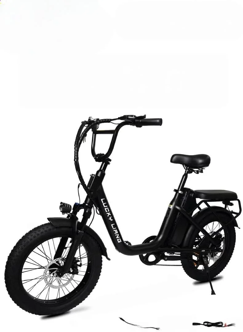 دوچرخه برقی بزرگسالان Lucky Liang U03 – موتور 500 وات (حداکثر 750 وات)، باتری 48 ولت 13 آمپر ساعت، سرعت 45 کیلومتر در ساعت، برد 35-45 کیلومتر، لاستیک های آفرود 20×3.0 اینچ، فریم فولاد کربنی
