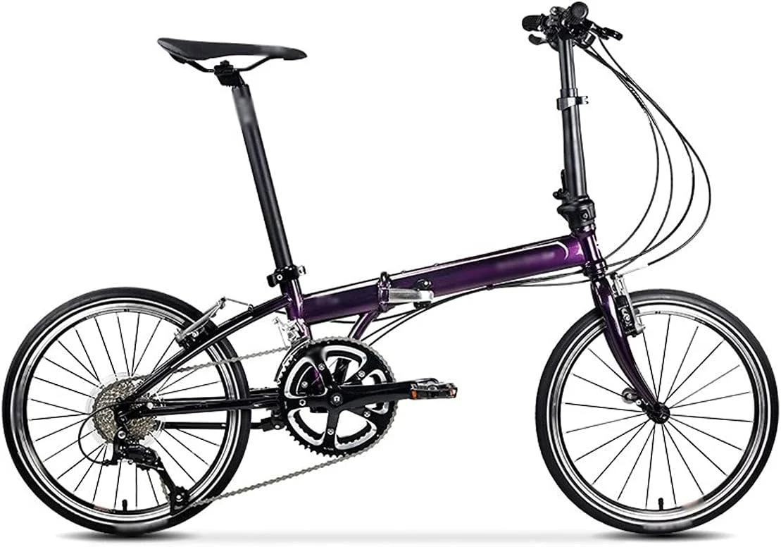 دوچرخه تاشو داهون با فریم فولاد کروم مولیبدن، سایز 20 اینچ (هورتل)