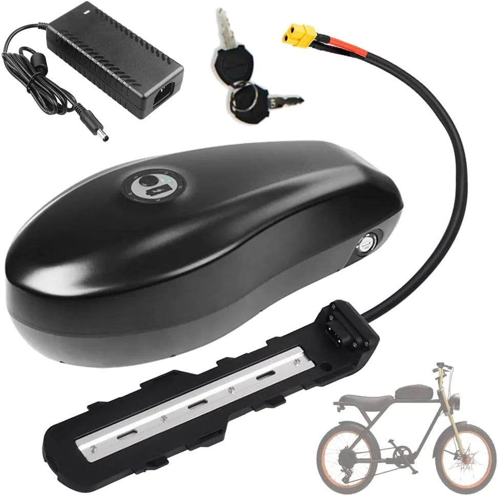 باتری جایگزین 48 ولت 20 آمپر ساعت 18 آمپر ساعت 15 آمپر ساعت باتری لیتیومی 52 ولت باتری های قابل جابجایی 48 ولت لیتیوم یون برای موتورهای 250 وات - 1000 وات با شارژر و پورت 6 هسته