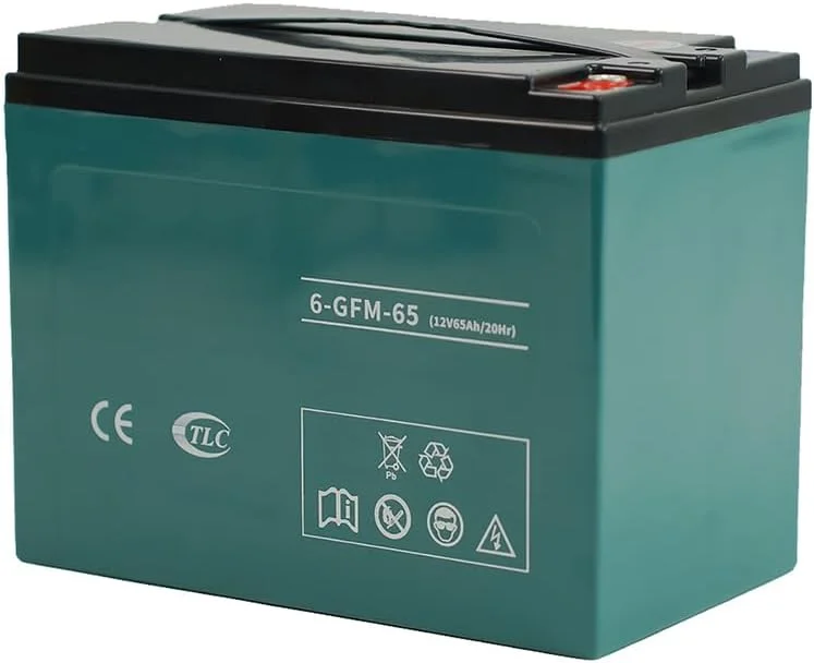 باطری ۱۲ ولت برقی پالت تراک، باطری اسیدی سربی ۱۲ ولت ۶۵ آمپر برای کیت های تبدیل موتور ۸۰۰ وات به همراه دسته باطری