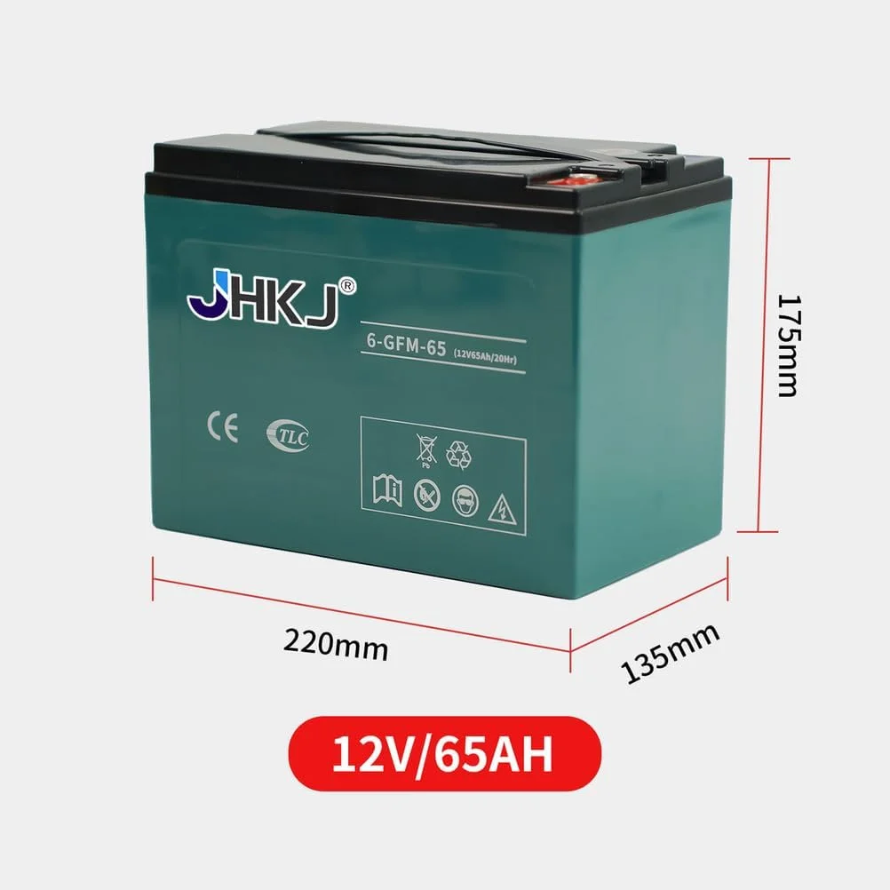 باطری ۱۲ ولت برقی پالت تراک، باطری اسیدی سربی ۱۲ ولت ۶۵ آمپر برای کیت های تبدیل موتور ۸۰۰ وات به همراه دسته باطری