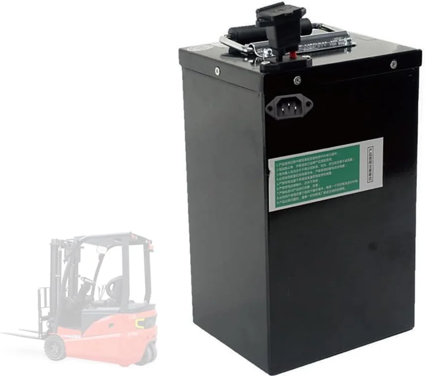 باطری لیتیوم آهن فسفات 48 ولت 30 آمپر ساعت قابل جابجایی برای موتورهای 0-1500 وات به همراه شارژر و دسته، A، 48 ولت 30 آمپر ساعت