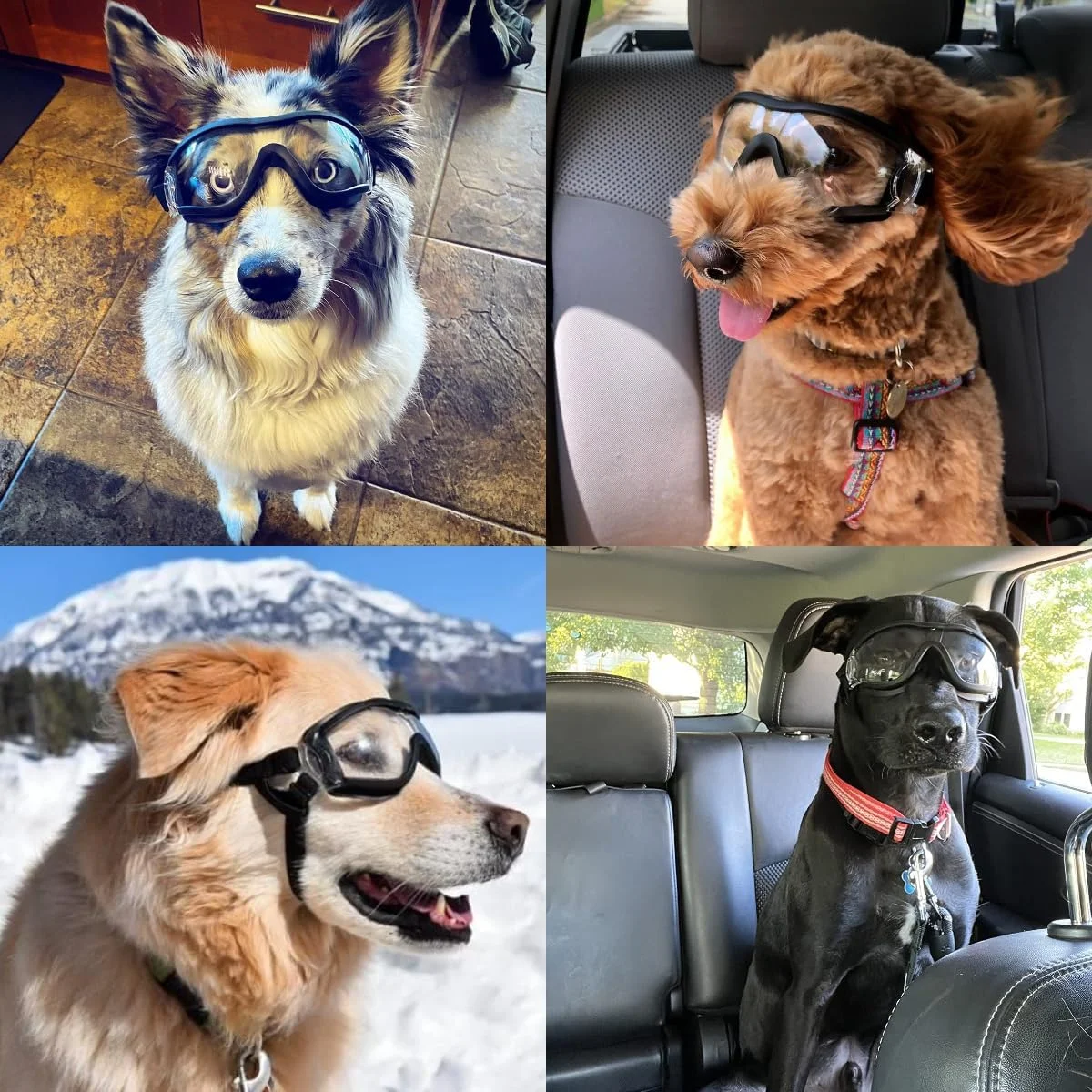 عینک آفتابی سگ PETLESO برای سگ های بزرگ، عینک ایمنی سگ، استفاده آسان، عینک محافظ ضد اشعه ماوراء بنفش، عینک سگ موتورسواری برای سگ های بزرگ / متوسط عینک آفتابی سگ PETLESO برای سگ های بزرگ، عینک ایمنی سگ، استفاده آسان، عینک محافظ ضد اشعه ماوراء بنفش، عینک سگ موتورسواری برای سگ های بزرگ / متوسط