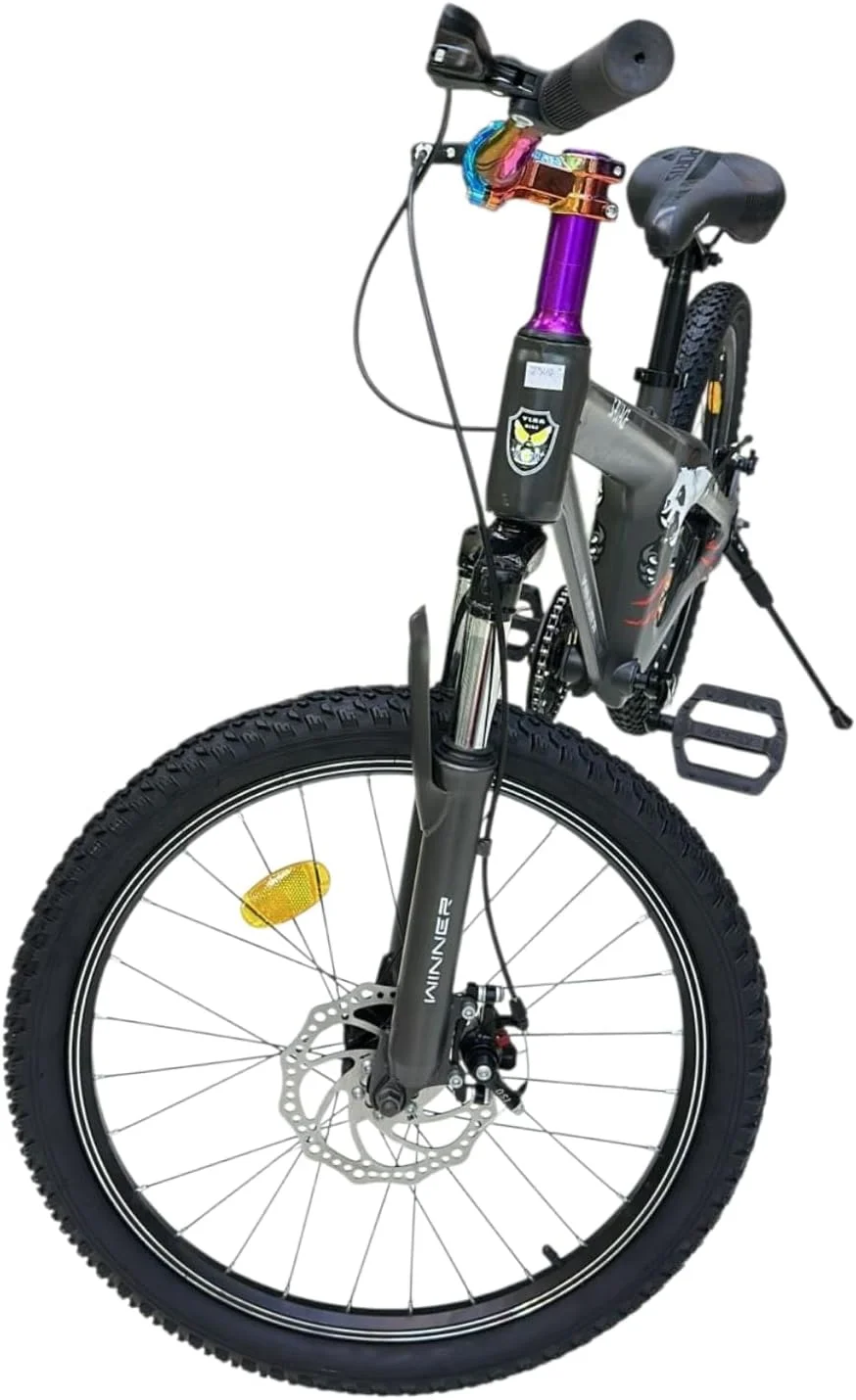 دوچرخه فری استایل بچگانه سایز ۲۰ اینچ - فریم شیک و بادوام، تک سرعته، دسته های رنگارنگ، طراحی اسپرت منحصر به فرد برای پسران و دختران