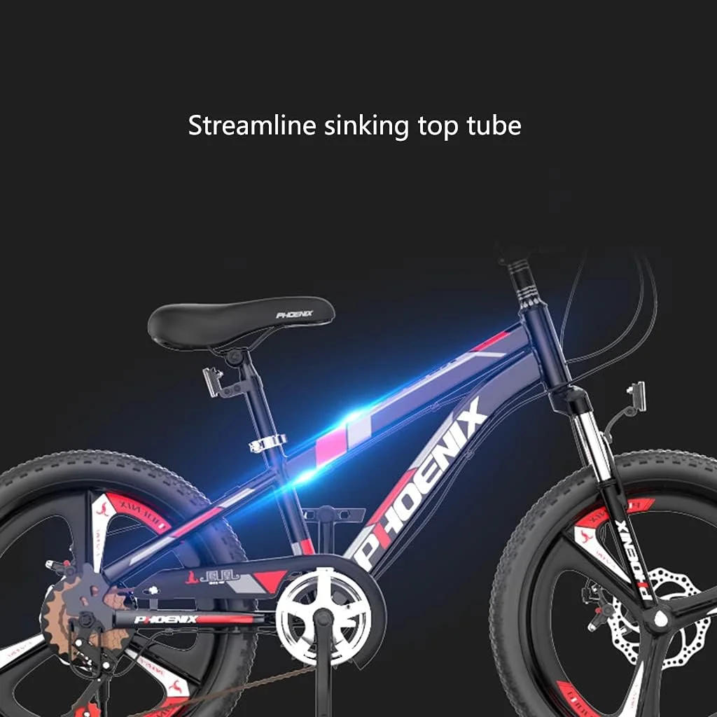 دوچرخه کوهستانی هاردتیل کودکان، دوچرخه های جاده ای 18 و 20 اینچی با ترمز دیسکی، مناسب برای ورزش های فضای باز (سایز: 20 اینچ)