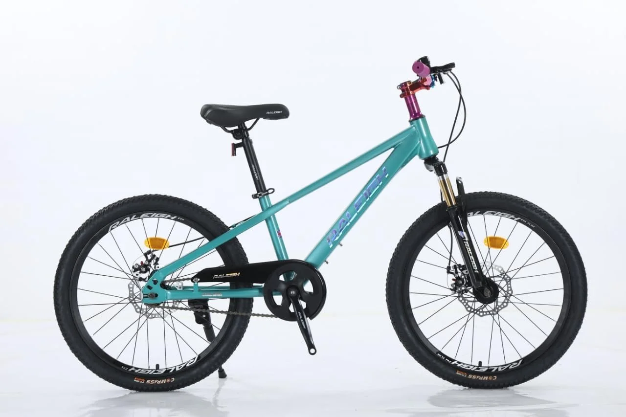 دوچرخه کوهستانی کودکانه رالی EVA، فریم فولادی 22 اینچی، تک سرعته، ترمز دیسکی دوچرخه کوهستانی کودکانه رالی EVA، فریم فولادی 22 اینچی، تک سرعته، ترمز دیسکی