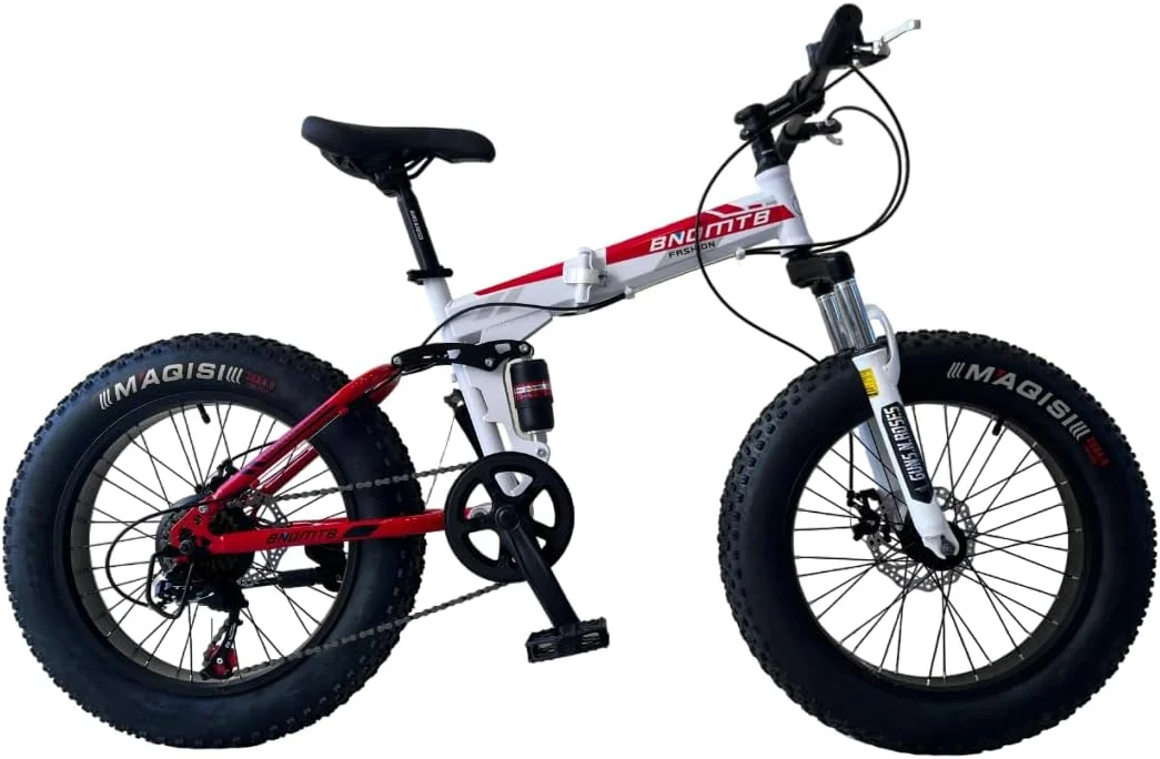 دوچرخه تایر پهن تاشو، دوچرخه های کروز با فریم فولادی کربنی بالا، دوچرخه برفی ساحلی، ترمز دیسکی دوبل چرخ های 20 اینچی 21 سرعته دوچرخه کوهستان بزرگسالان، رنگ ترکیبی 4