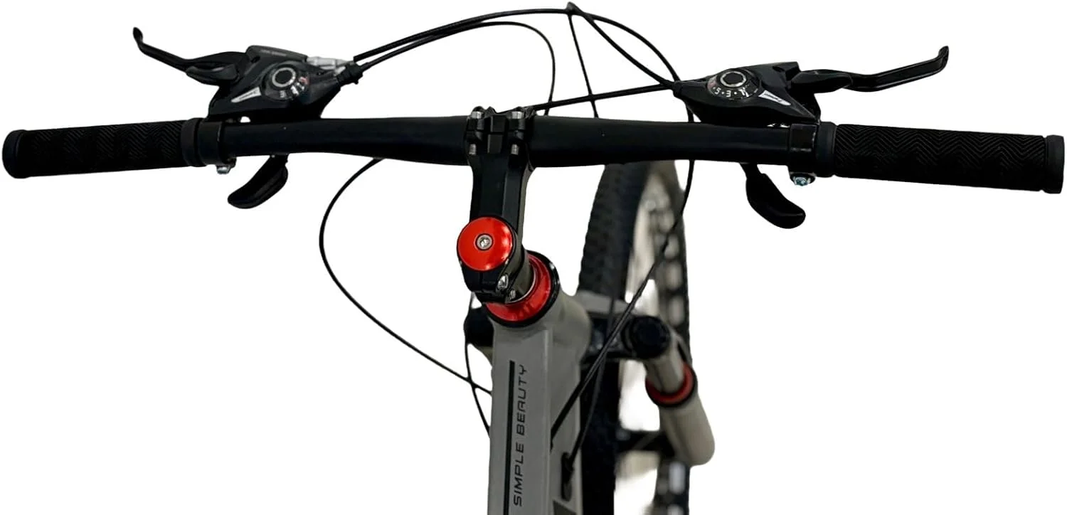 دوچرخه کوهستانی وی‌ال‌آرای ۲۷ اینچی، دوچرخه تفریحی ۲۱ سرعته