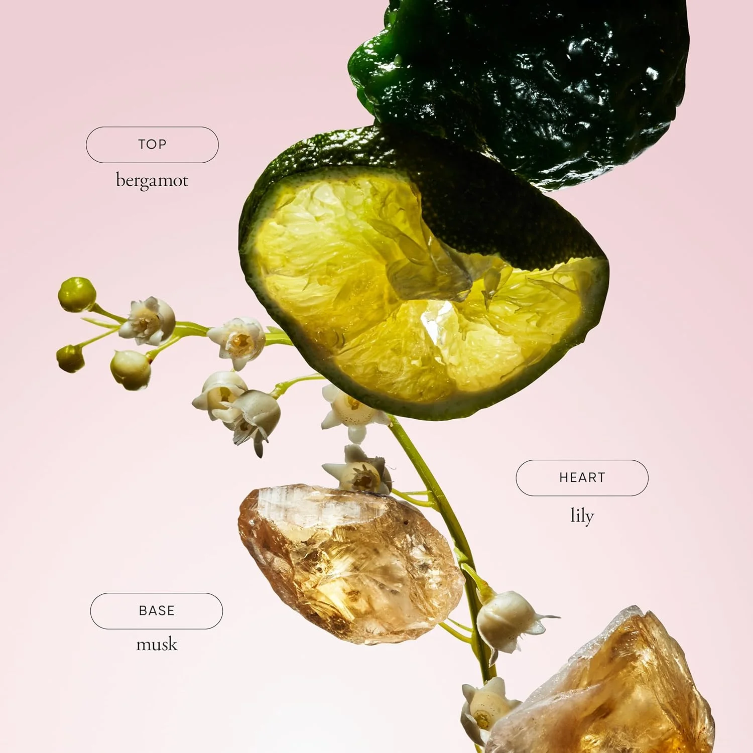 اسپری بدن فیلوسوفی امیزینگ گریس، ۲۴۰ میلی لیتر