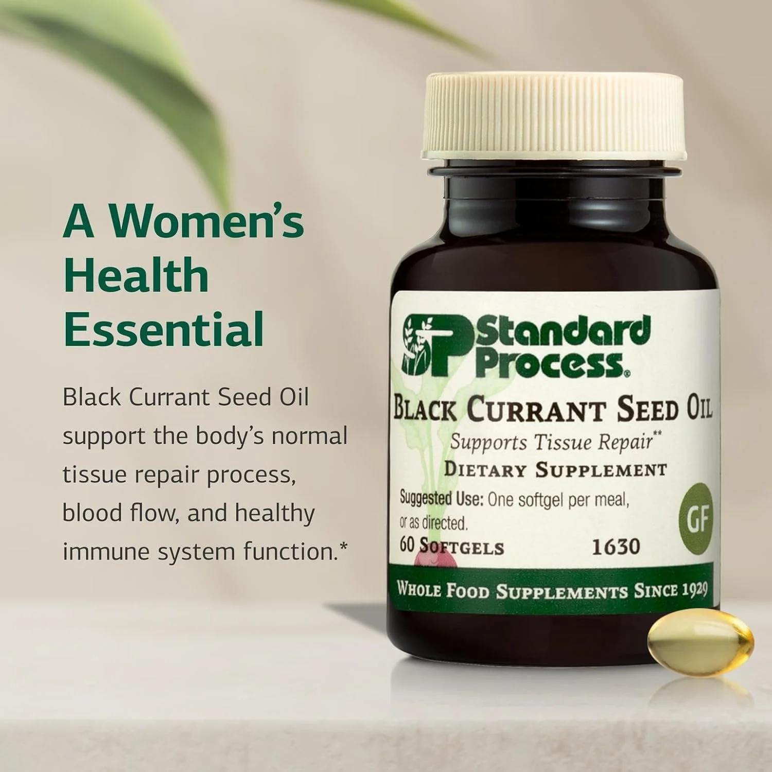 روغن دانه انگور فرنگی سیاه Standard Process Inc. - 60 عدد