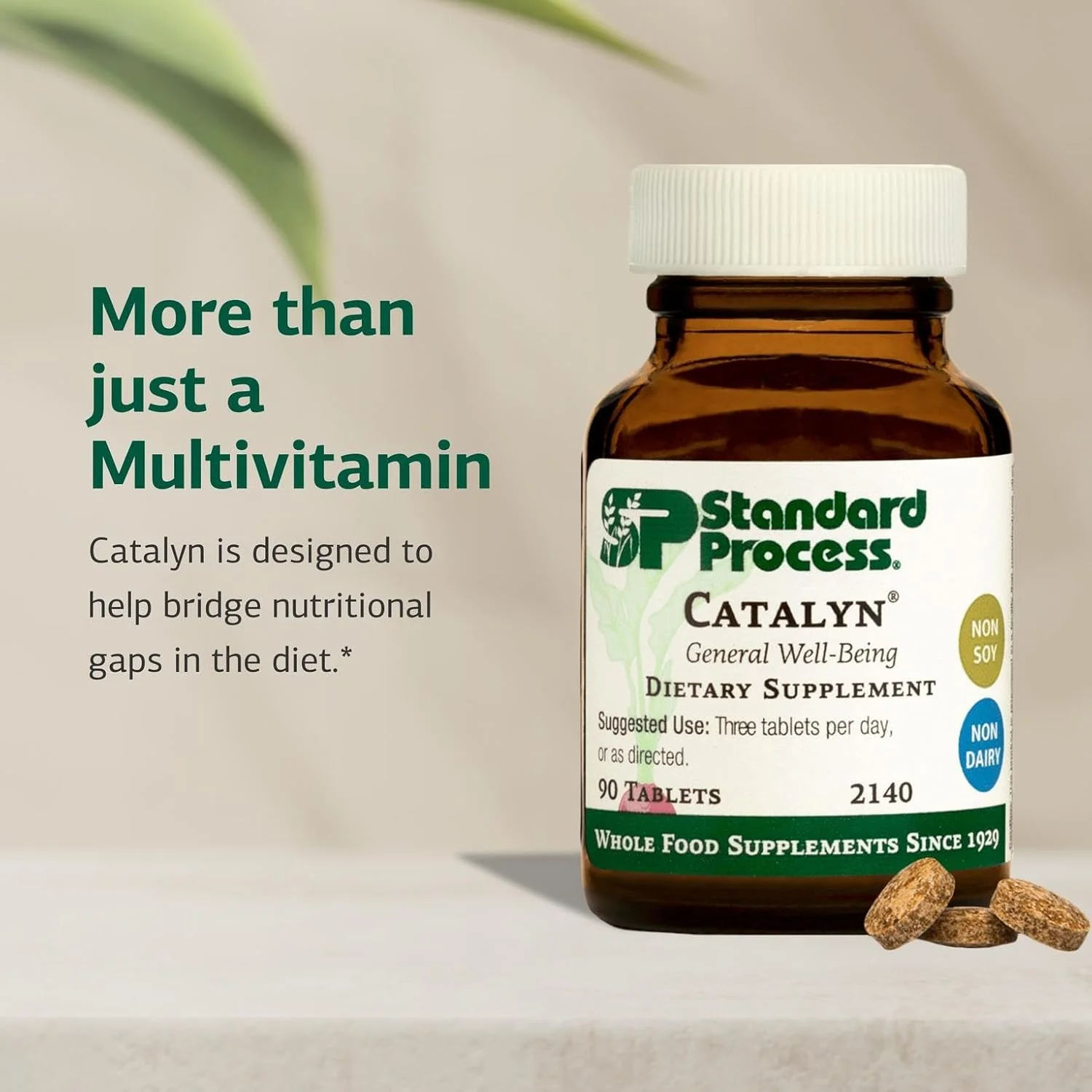 Standard Process Inc. Catalyn - Whole Food Foundational Support for General Wellbeing with Vitamin D, Vitamin C, Vitamin A, Thiamine, Riboflavin, Vitamin B6, Magnesium Citrate, and More - 90 Tablets