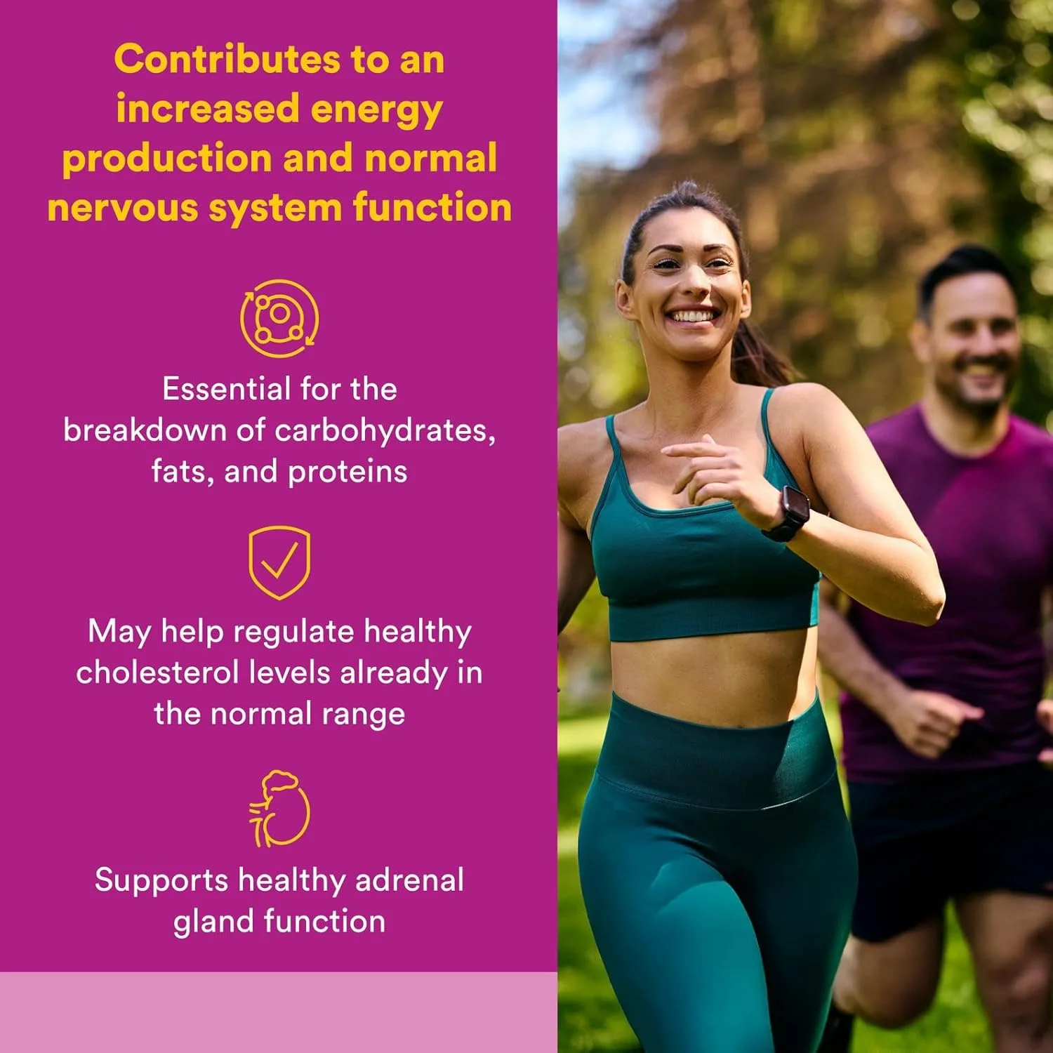 Natural Factors ویتامین ب۳ - ۹۰ عدد قرص