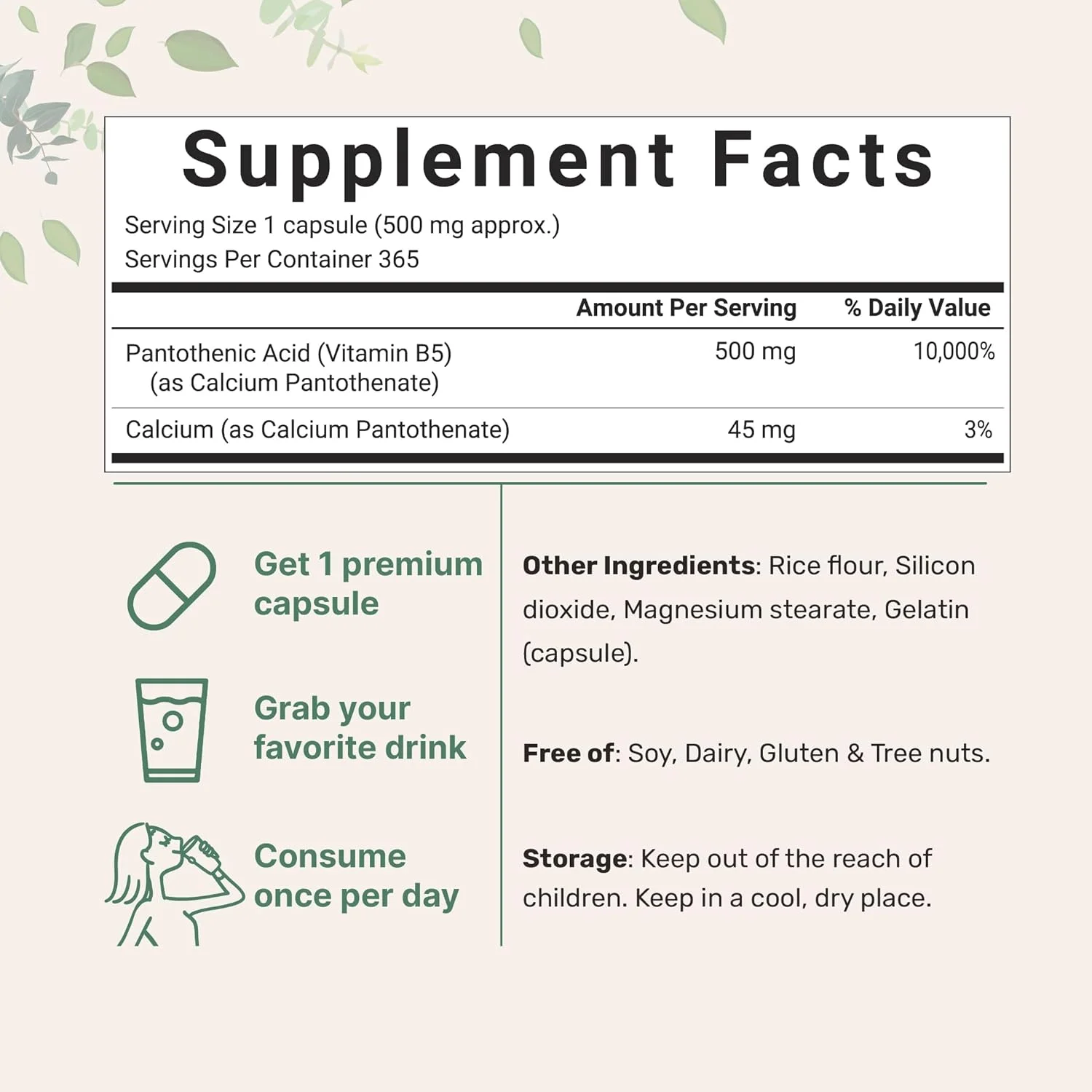 مکمل پانتوتنیک اسید ویتامین B5، ویتامین B5 500 میلی گرم در هر کپسول، 365 کپسول (یک سال)، ویتامین B کمپلکس، پشتیبانی از تولید انرژی و سیستم عصبی، غیر GMO