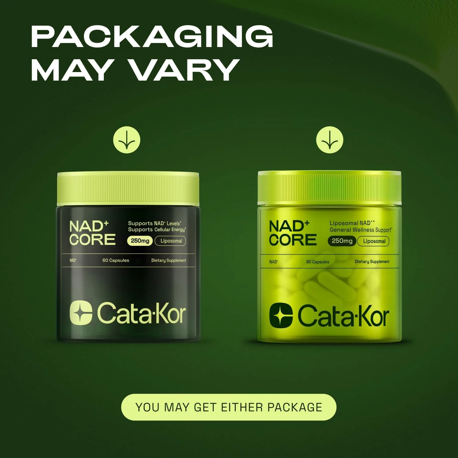 جایگزین مکمل Nmn - لیپوناد لیپوزومال Nad Core 250 میلی گرم - تامین 90 روزه - بسته 3 عددی - مکمل Nad با خلوص بالا برای ضد پیری، انرژی و تمرکز جایگزین مکمل Nmn - لیپوناد لیپوزومال Nad Core 250 میلی گرم - تامین 90 روزه - بسته 3 عددی - مکمل Nad با خلوص بالا برای ضد پیری، انرژی و تمرکز