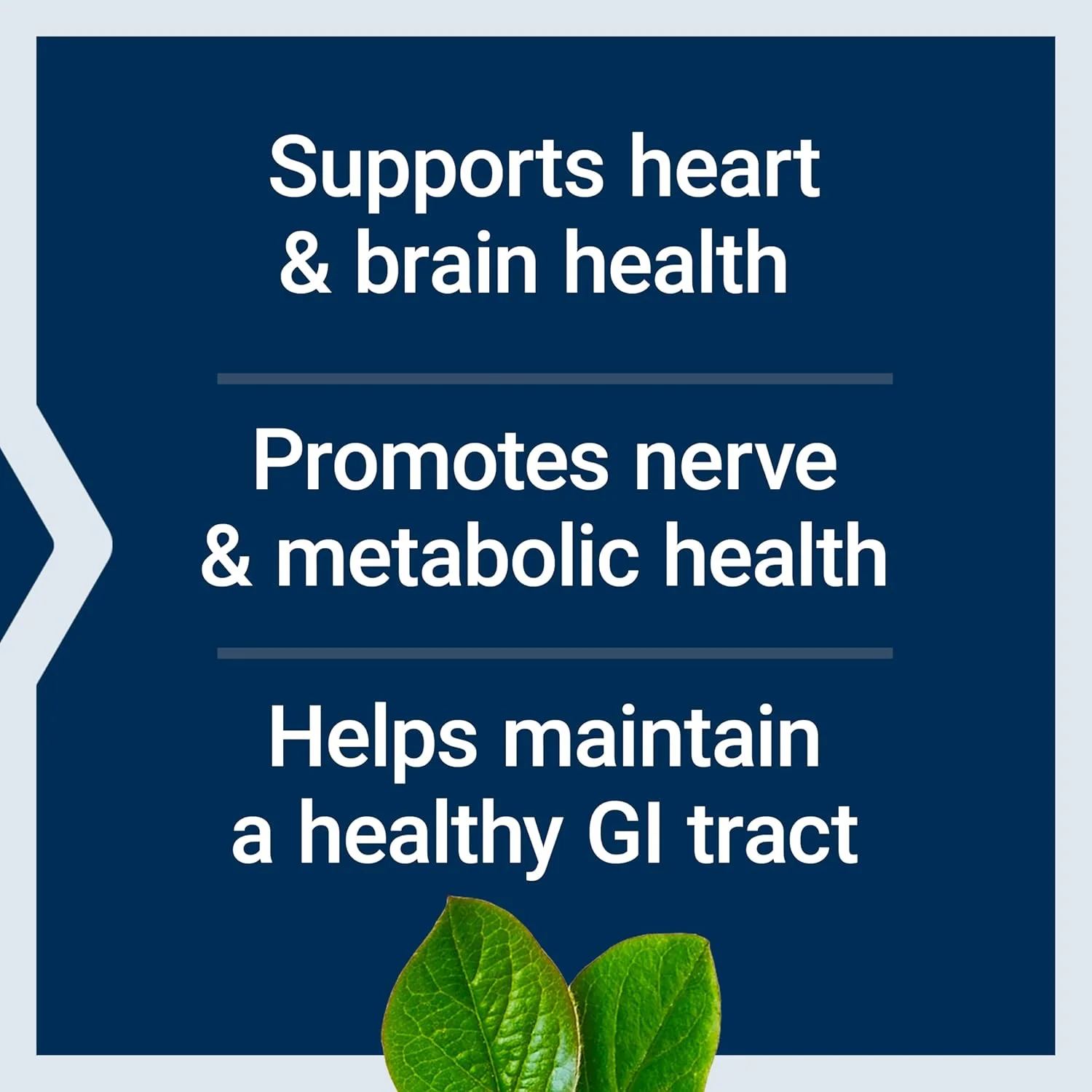 فولات و ویتامین ب۱۲ لایف اکستنشن، ۹۰ کپسول گیاهی فولات و ویتامین ب۱۲ لایف اکستنشن، ۹۰ کپسول گیاهی