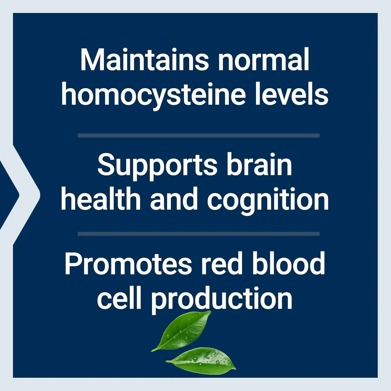 قرص های مکیدنی متیل کوبالامین لایف اکستنشن، 1 میلی گرم، 60 عدد قرص های مکیدنی متیل کوبالامین لایف اکستنشن، 1 میلی گرم، 60 عدد