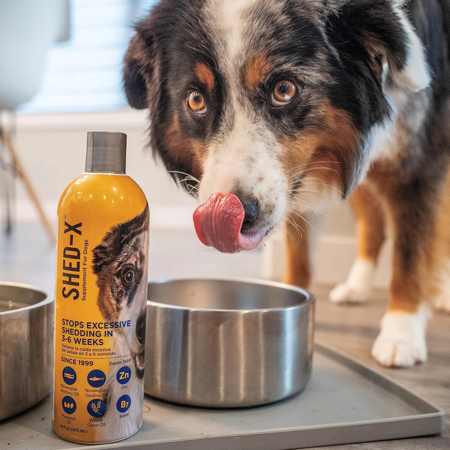 مکمل غذایی کنترل ریزش مو SynergyLabs SHED-X Dermaplex