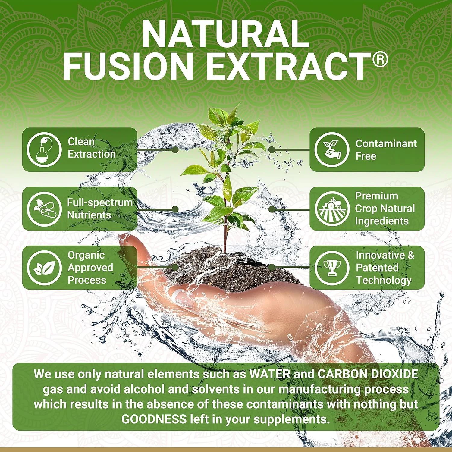 کپسول های ویتامین C آمله ارگانیک True Veda – دارای گواهی USDA ارگانیک | ویتامین C گیاهی غذای کامل | مکمل آملکی | اجتناب از اسید آسکوربیک مصنوعی | آلمای غنی از آنتی اکسیدان | آیورودا | 60 عدد کپسول های ویتامین C آمله ارگانیک True Veda – دارای گواهی USDA ارگانیک | ویتامین C گیاهی غذای کامل | مکمل آملکی | اجتناب از اسید آسکوربیک مصنوعی | آلمای غنی از آنتی اکسیدان | آیورودا | 60 عدد