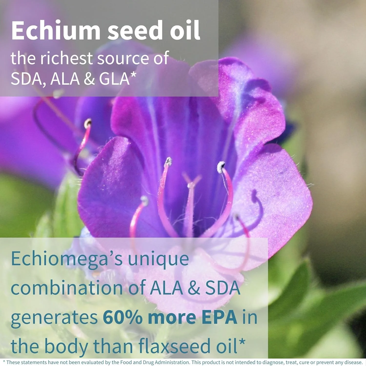 ایگنوس اکیومگا امگا 3-6-9 گیاهی، روغن دانه اکیوم گیاهی، نسبت ایده آل 2:1 امگا 3 به امگا 6 GLA، سلامت بانوان، 60 سافت ژل کوچک