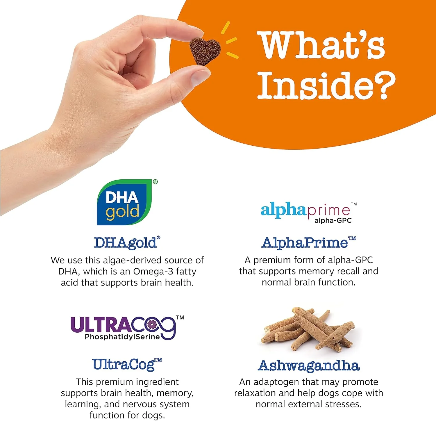 تشویقی نرم جویدنی پیشرفته Zesty Paws برای تقویت شناختی سگ ها - حاوی امگا 3 DHA، آشواگاندا و آلفا GPC - برای سلامت مغز سگ های مسن و پشتیبانی از سیستم عصبی - مکمل آرامش بخش - 90 عدد