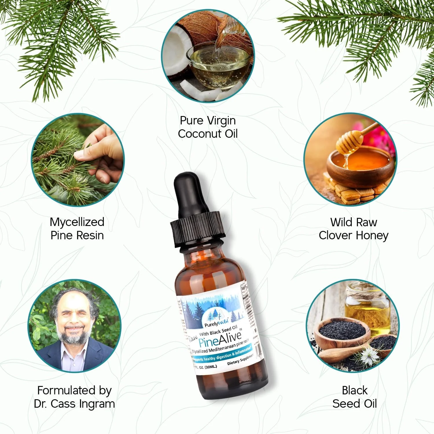 PURELY WILD PineAlive - کمپلکس صمغ درخت کاج خام و روغن دانه سیاه | پشتیبانی از انرژی و نشاط طبیعی | عصاره جنگلی برداشت شده از طبیعت | فرمول اصلی دکتر کاس اینگرام | 30 میلی لیتر با قطره چکان