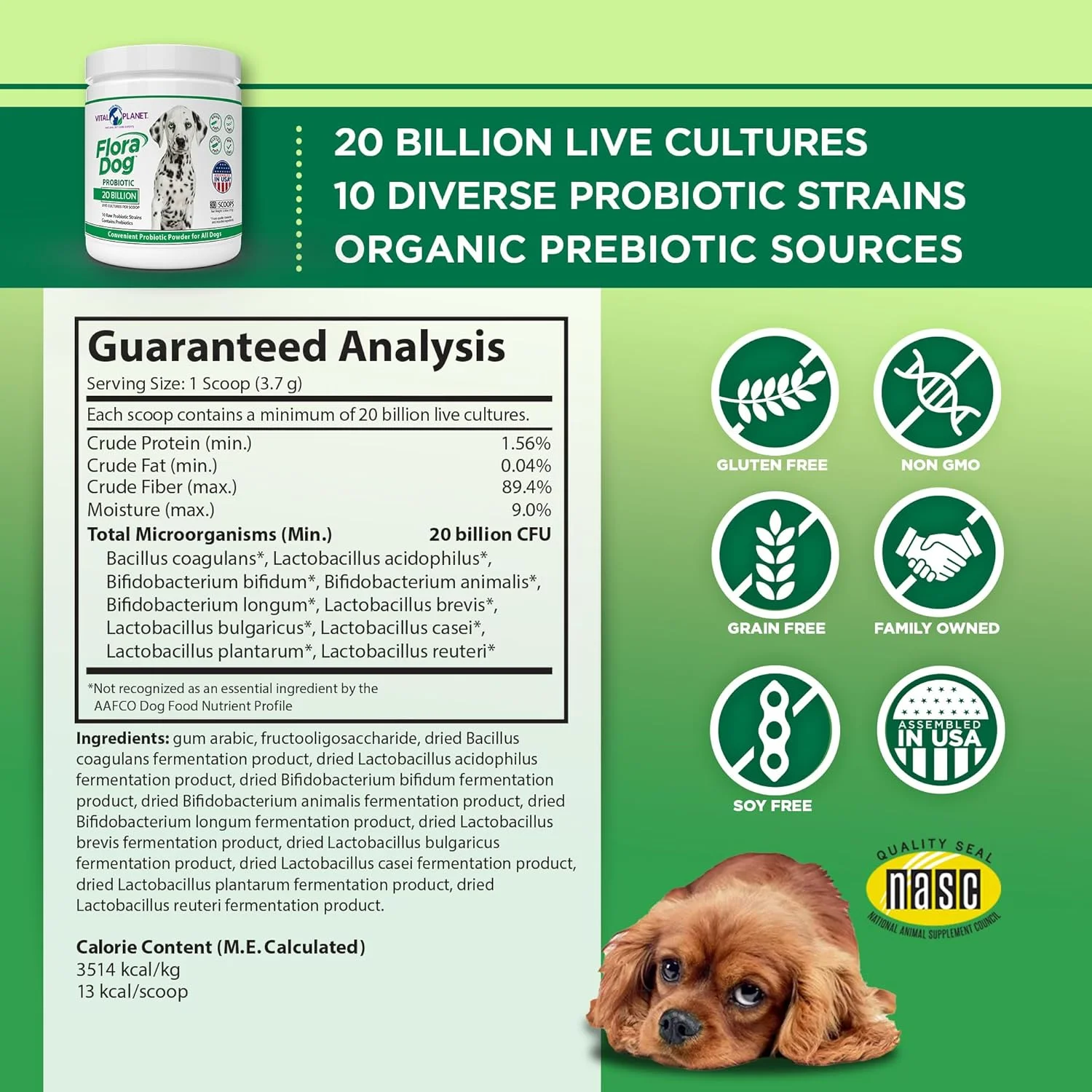 ویتال پلنت - مکمل پودر پروبیوتیک Flora Dog با 20 میلیارد کشت و 10 سویه، پروبیوتیک های با قدرت بالا برای حمایت از سیستم ایمنی و گوارش سگ ها، 111 گرم، 30 سروینگ