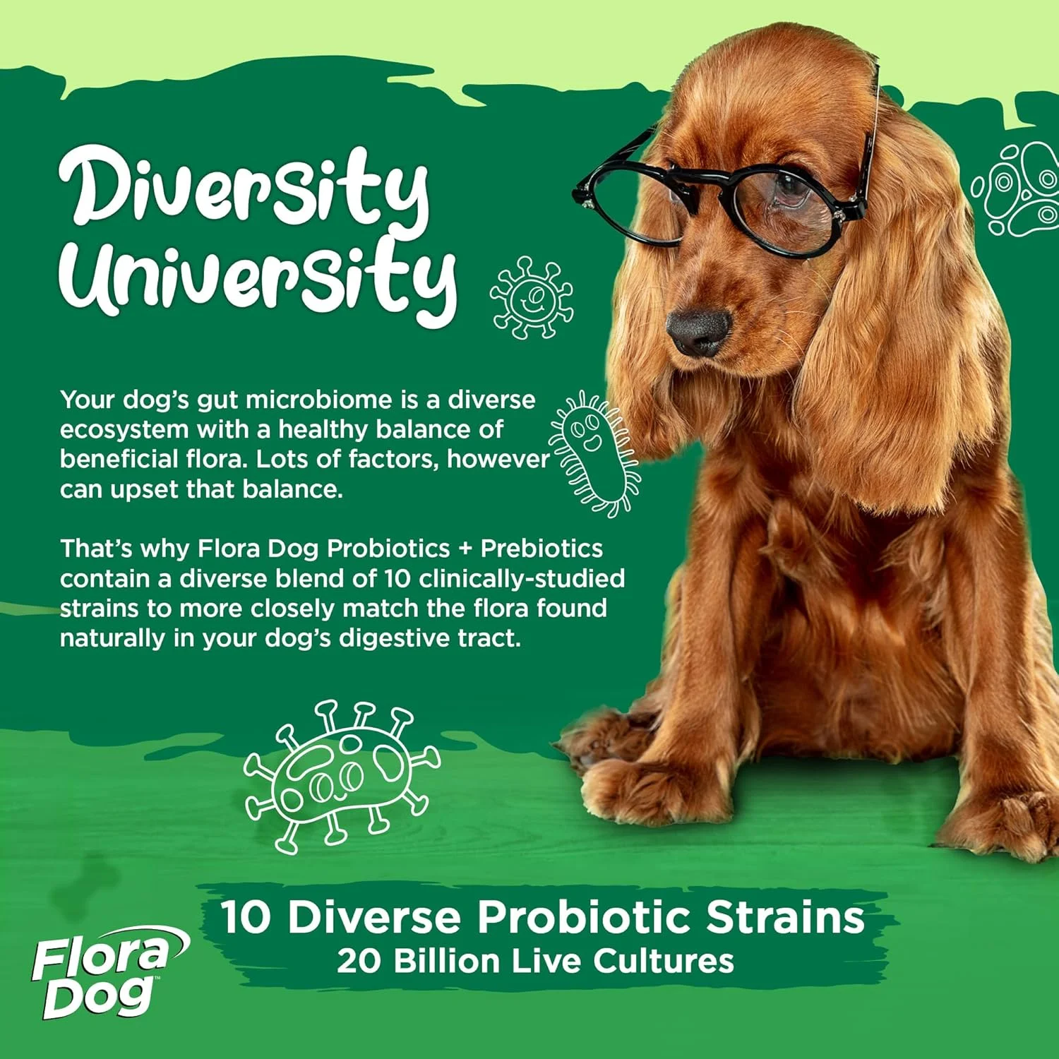 ویتال پلنت - مکمل پودر پروبیوتیک Flora Dog با 20 میلیارد کشت و 10 سویه، پروبیوتیک های با قدرت بالا برای حمایت از سیستم ایمنی و گوارش سگ ها، 111 گرم، 30 سروینگ