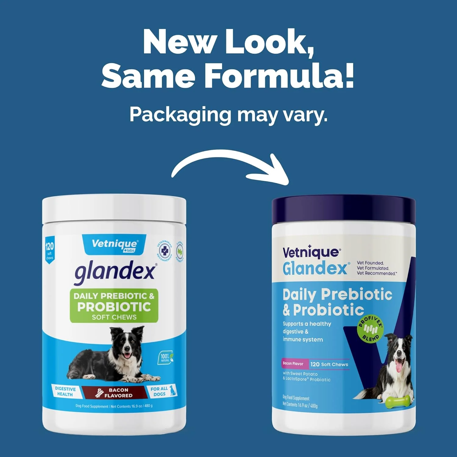 پروبیوتیک روزانه سگ Glandex با پری‌بیوتیک برای حمایت از سلامت روده به همراه فیبر و آنزیم‌های گوارشی، جویدنی‌های نرم با طعم بیکن، 120 عدد جویدنی پروبیوتیک برای سگ‌ها