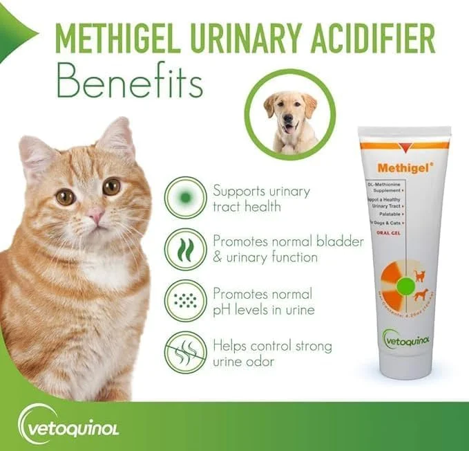 ژل خوراکی مت ژل وتوکوئینول کر برای سگ و گربه ۱۲۰ گرم