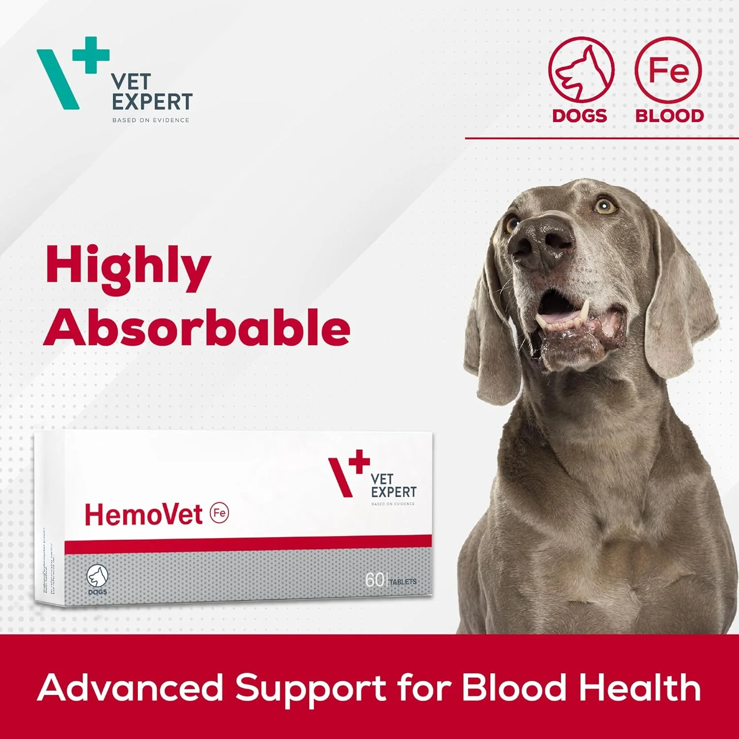 همووت وت اکسپرت