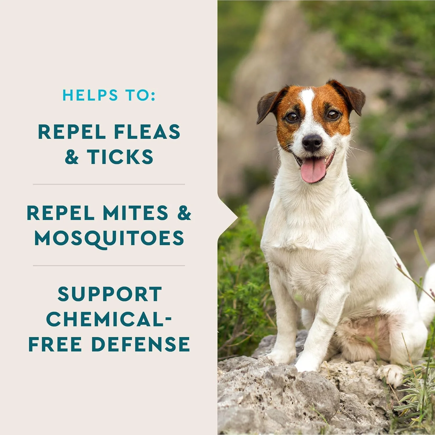 مکمل سگ VetIQ برای حمایت در برابر کک و کنه، خوراکی جویدنی برای سگ ها، پشتیبانی از دفاع طبیعی سگ در برابر کک، بدون مواد شیمیایی و سیر افزوده، طعم دودی چوب گردو، 60 عدد