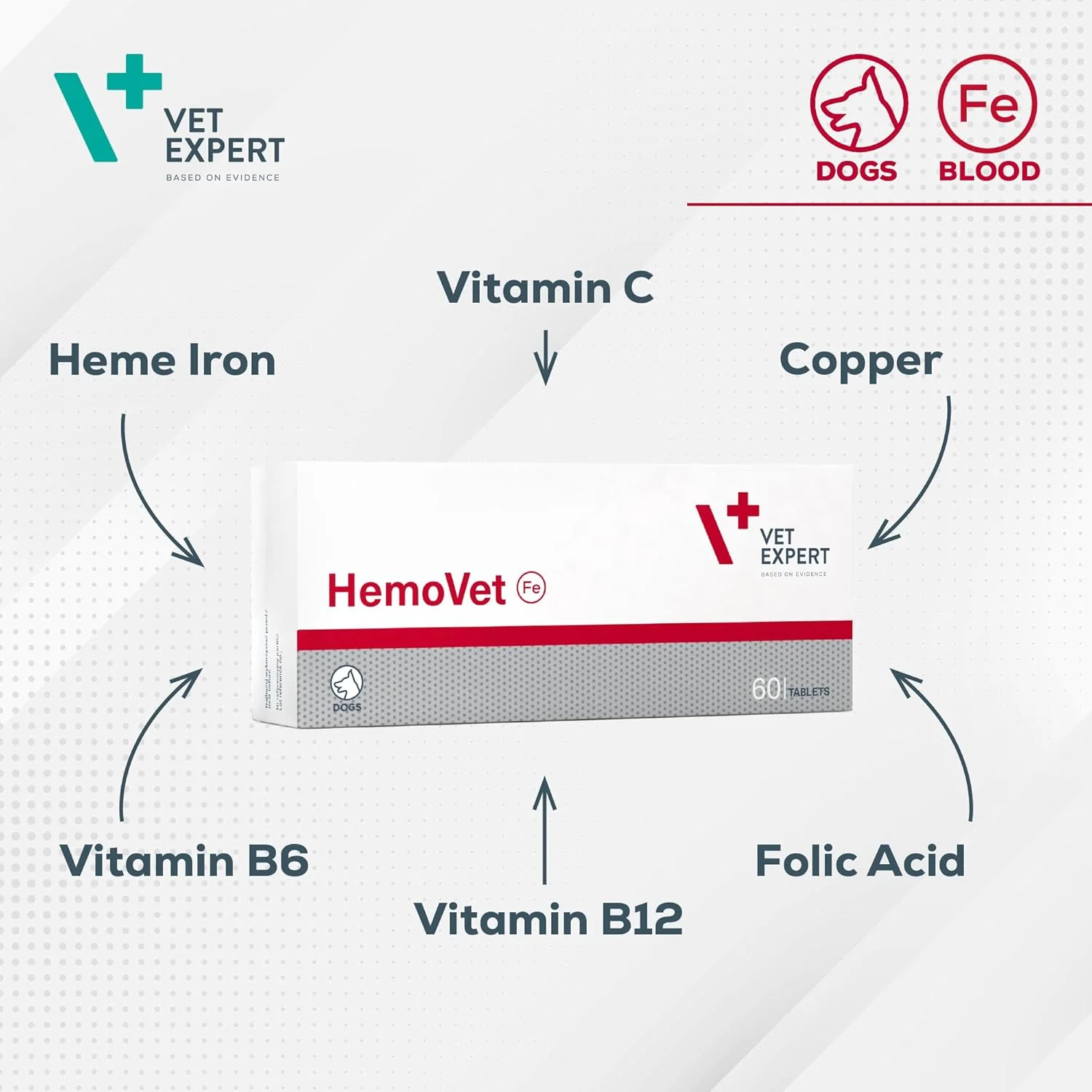 همووت وت اکسپرت