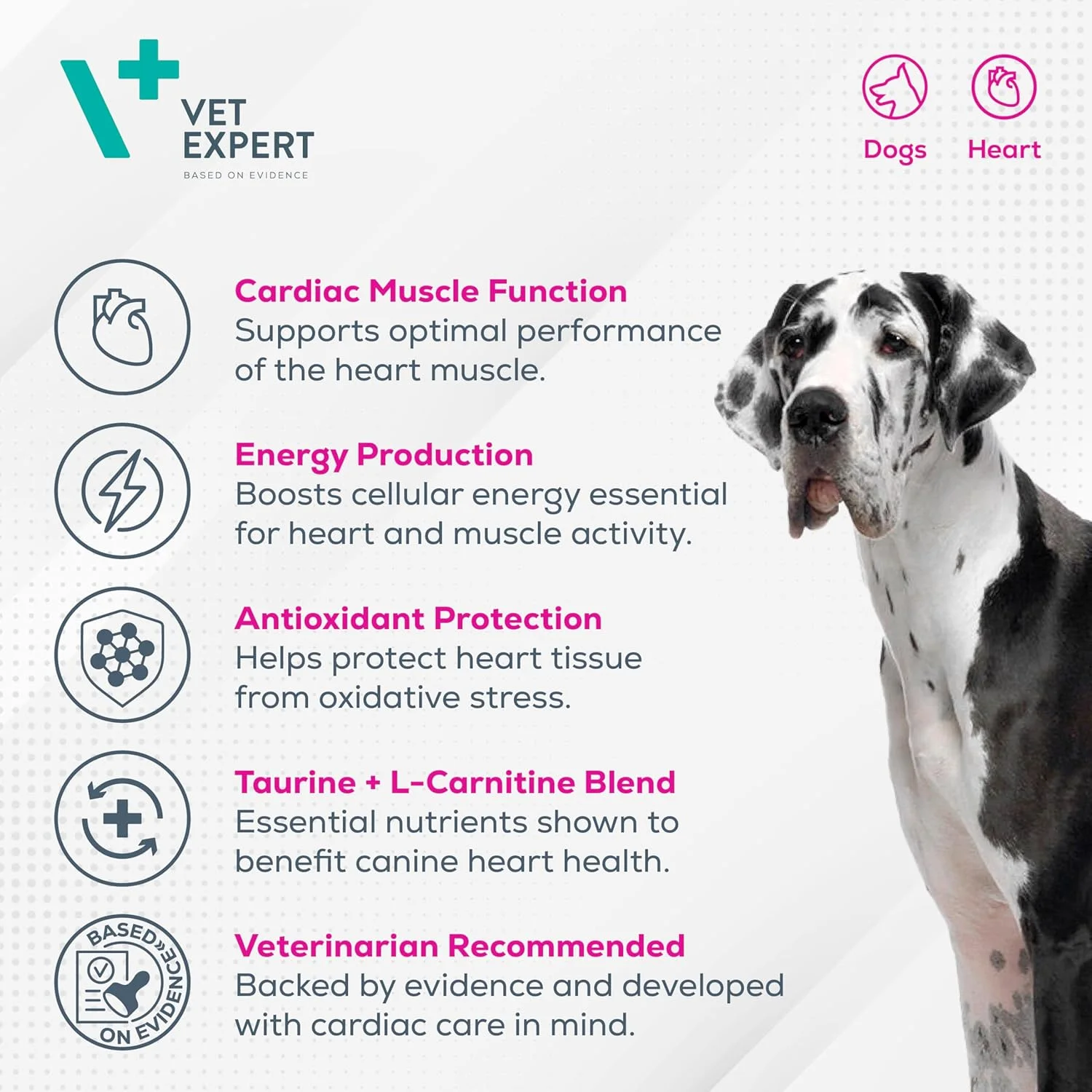 قرص کاردیووت وت اکسپرت 90 عددی، این مکمل برای سگ های مبتلا به نارسایی میوکارد ناشی از کاردیومیوپاتی متسع و نارسایی دریچه میترال در نظر گرفته شده است.