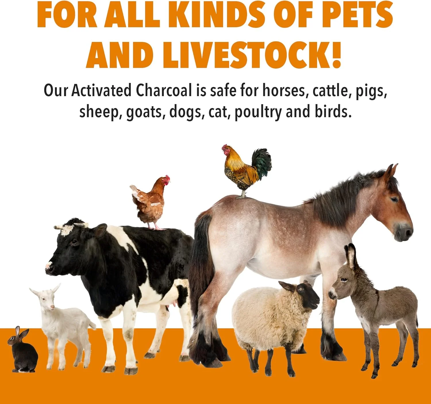 پودر زغال فعال VetDtoxTM برای حیوانات خانگی و دام - ۱ کوارت توسط VetDtoxTM