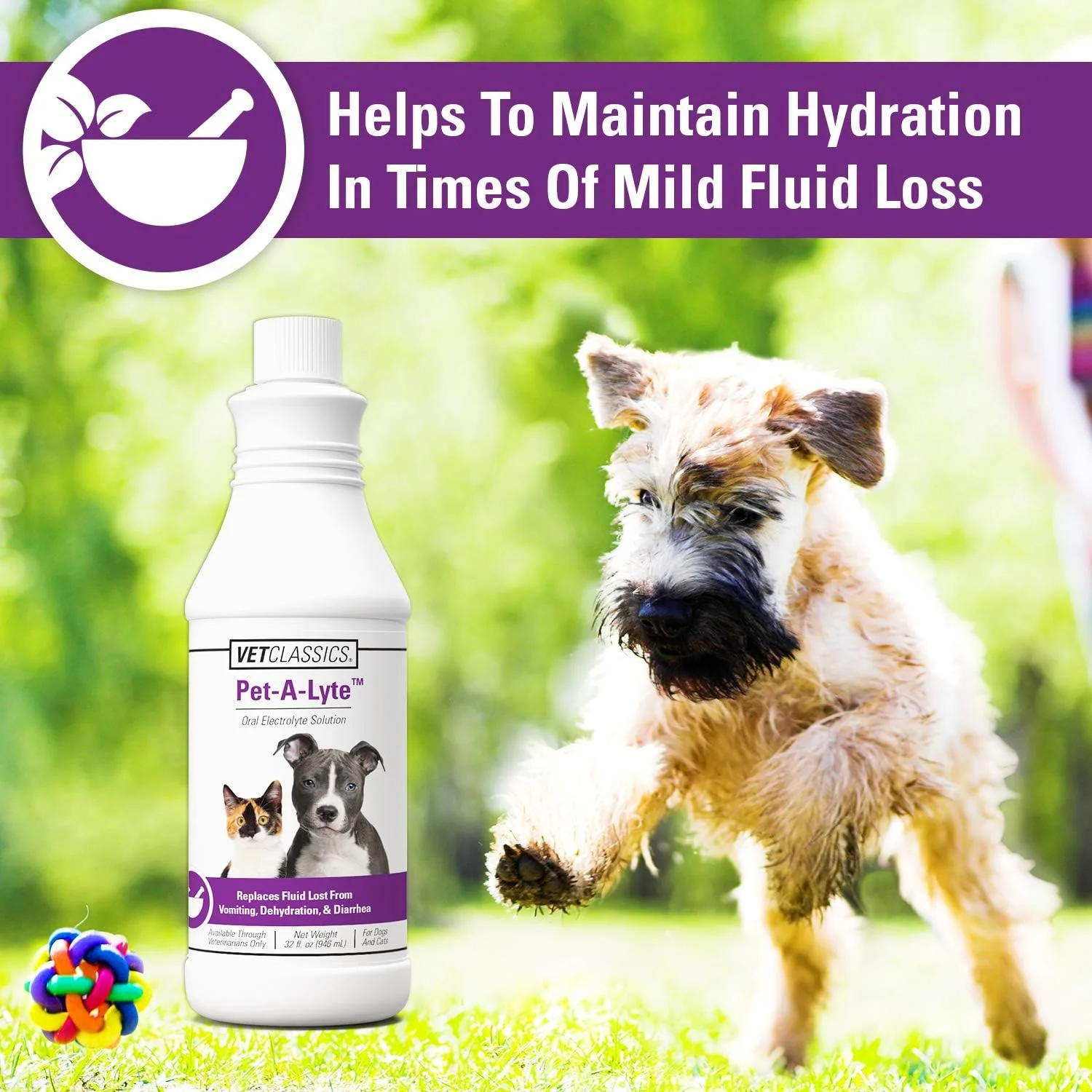 محلول الکترولیت خوراکی پت اِ لایت وت کلاسیکز (946 میلی لیتر) از وت کلاسیکز